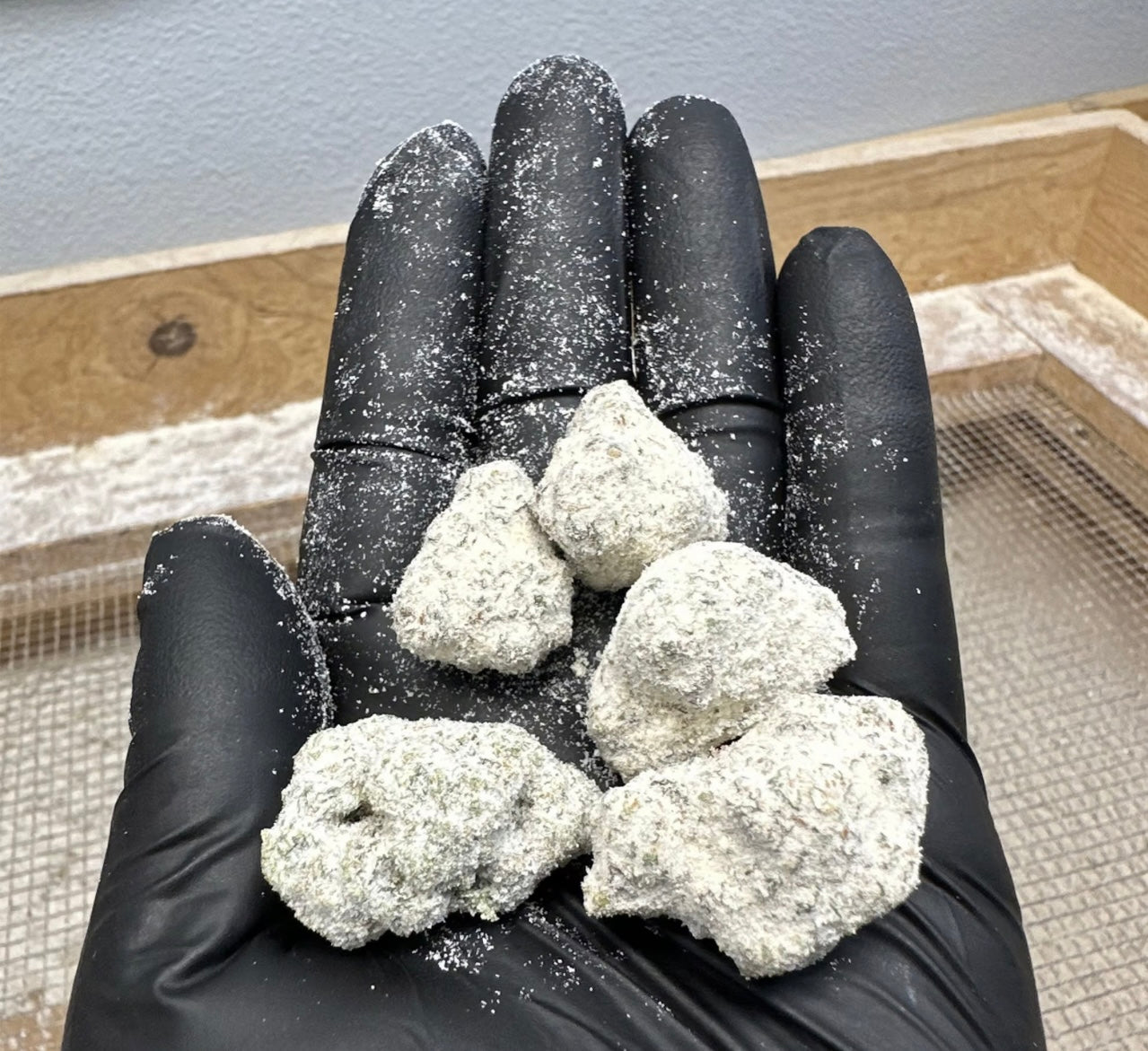 Runtz Snowcap THCA Flower 3.5G